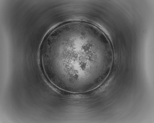 X0000113571045200909181243