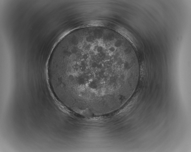 X0000113571047200909181243