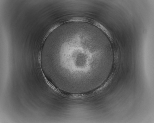 X0000113571049200909181243