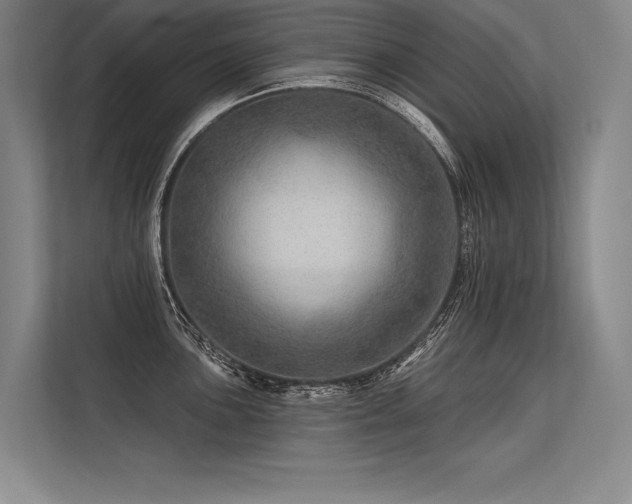 X0000113571051200909181243