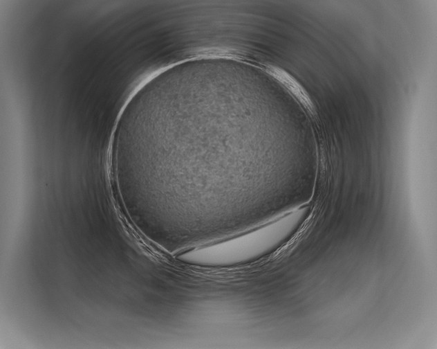 X0000113571052200909181243