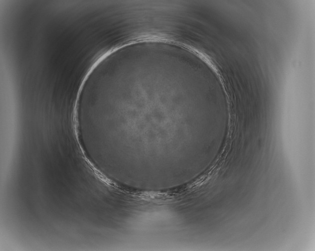 X0000113571056200909181243
