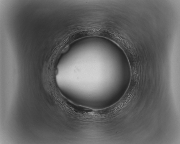 X0000113571057200909181243