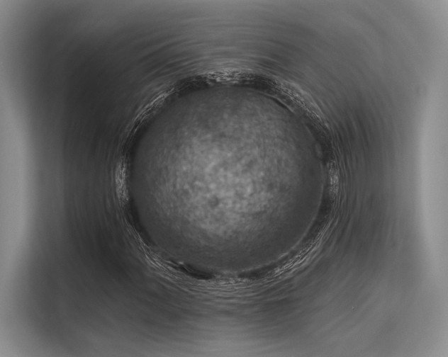 X0000113571060200909181243