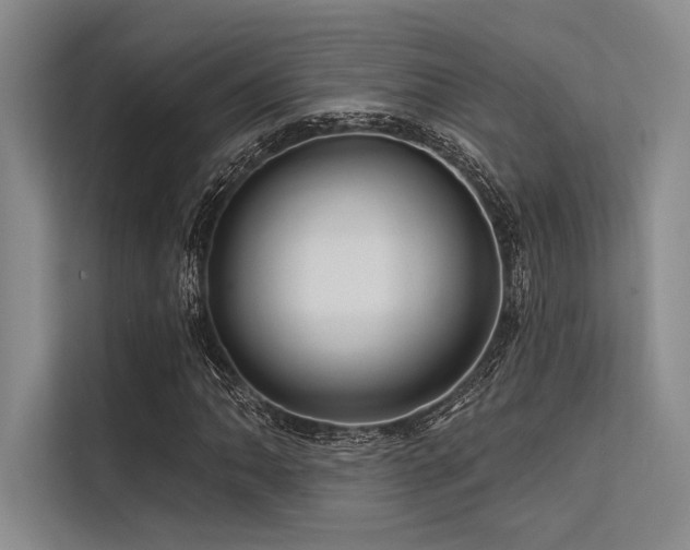 X0000113571062200909181243