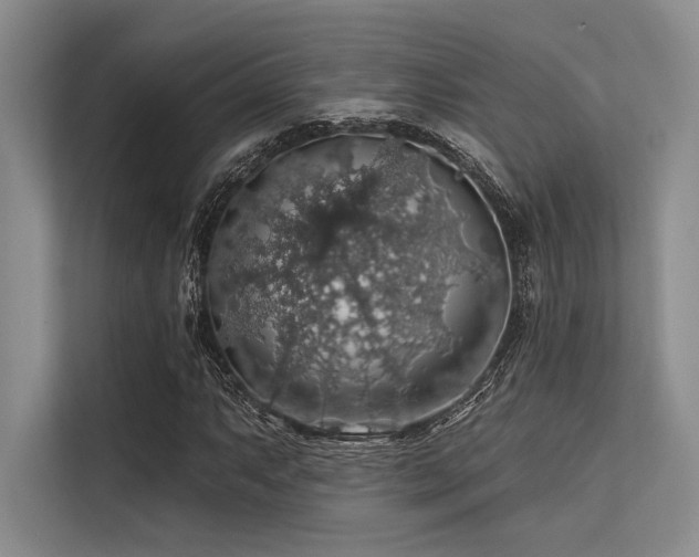 X0000113571063200909181242
