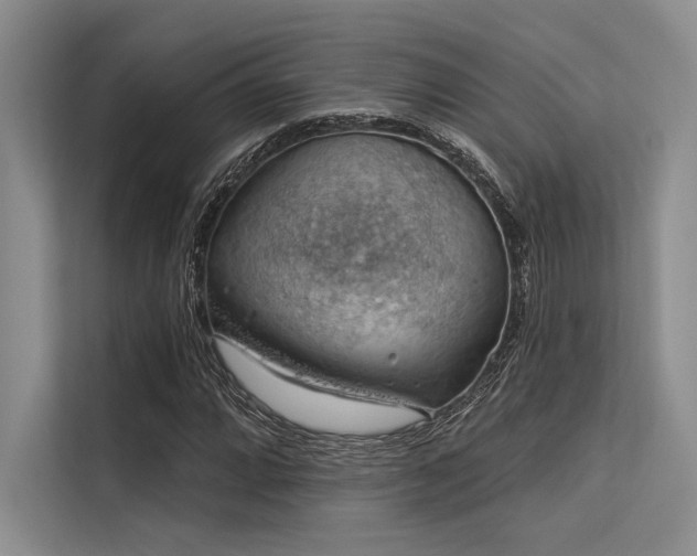 X0000113571064200909181242