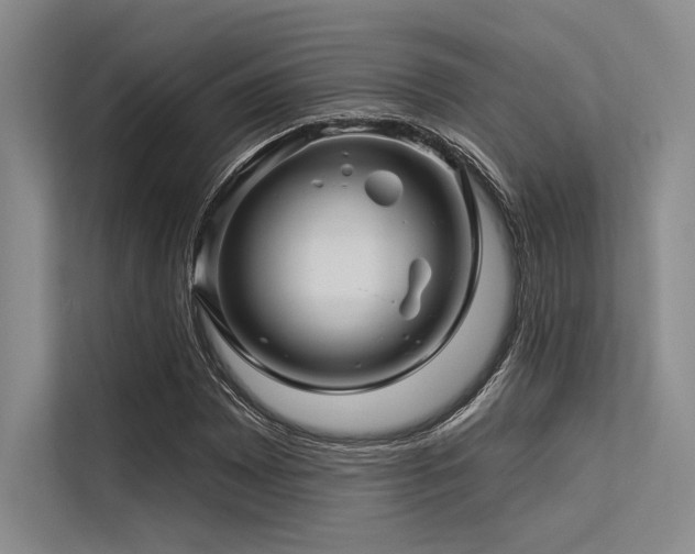 X0000113571065200909181242