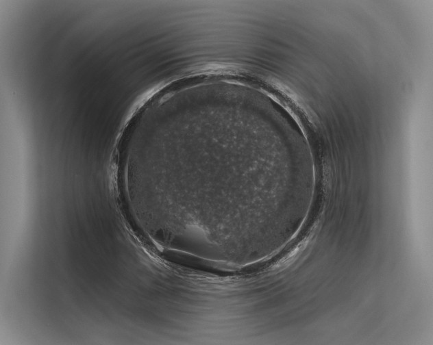 X0000113571066200909181242