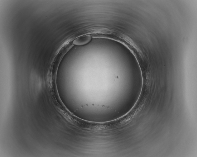 X0000113571067200909181242
