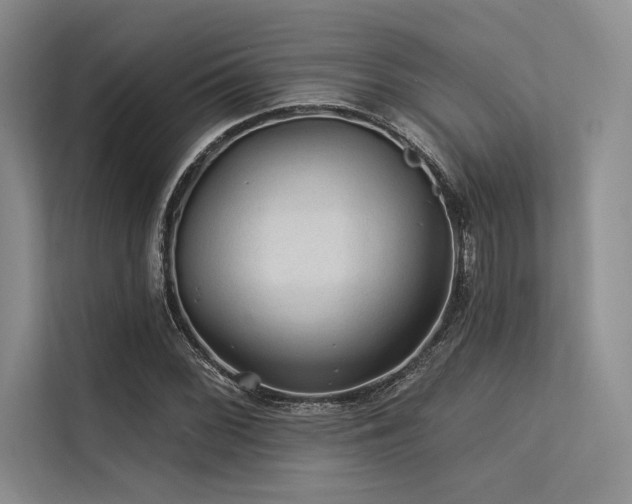 X0000113571068200909181242