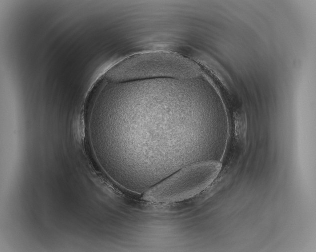 X0000113571069200909181242