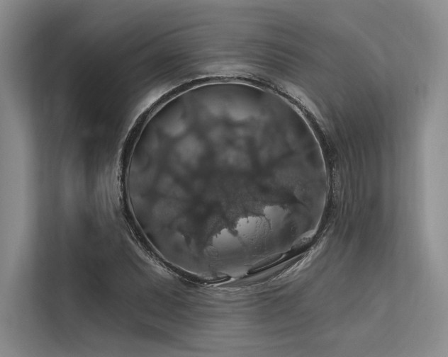 X0000113571071200909181242