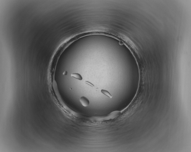 X0000113571072200909181242