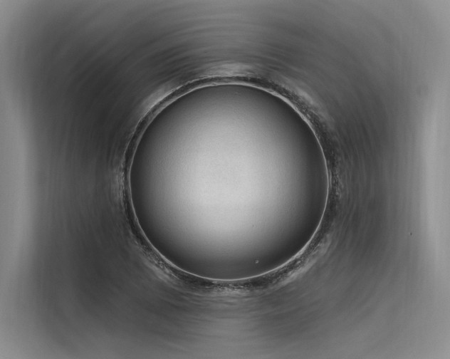 X0000113571073200909181242