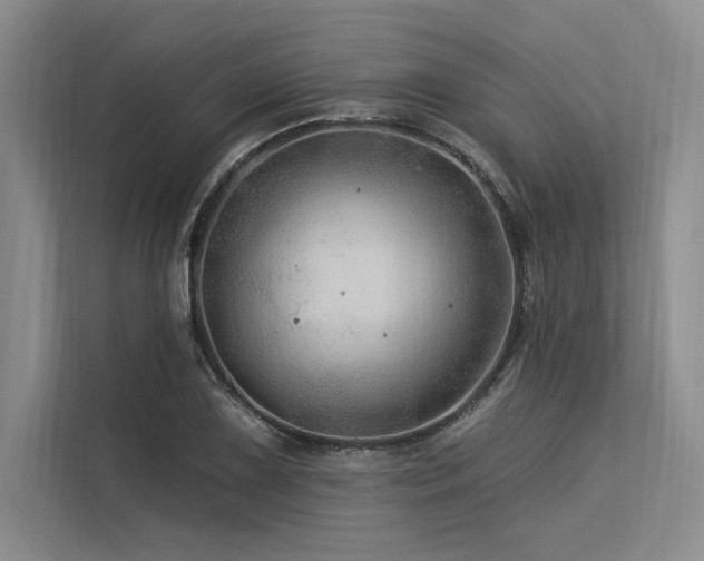 X0000113571075200909181242