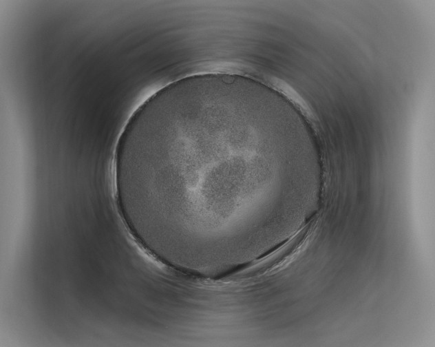 X0000113571079200909181242