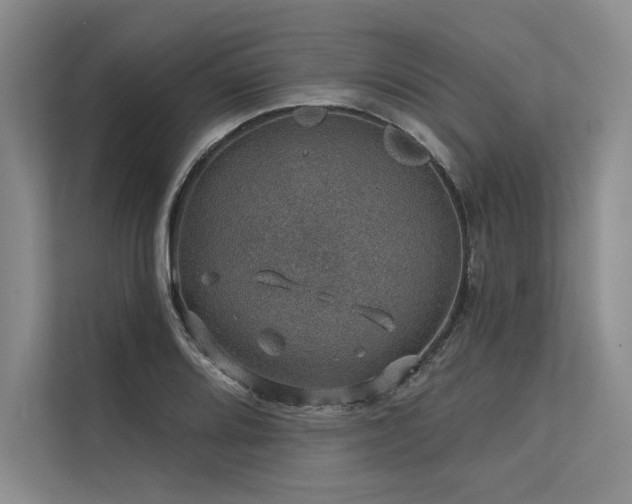 X0000113571080200909181242