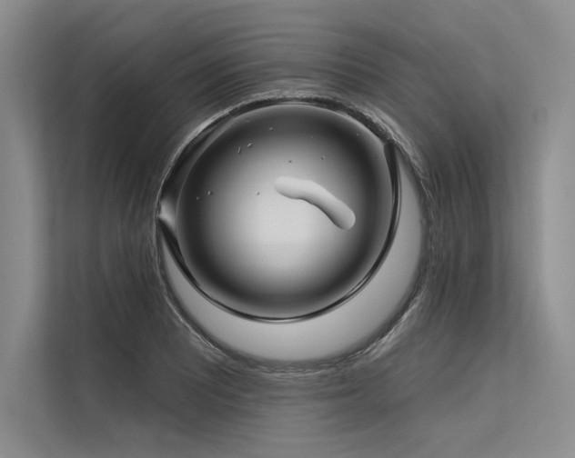 X0000113571081200909181242