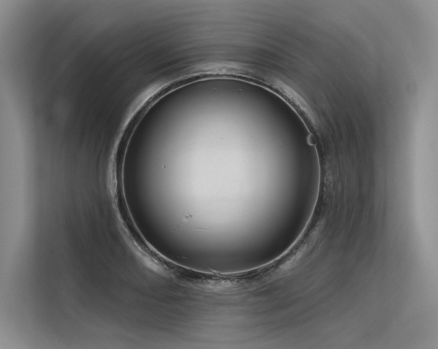 X0000113571082200909181242