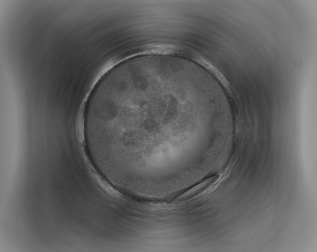 X0000113571083200909181242