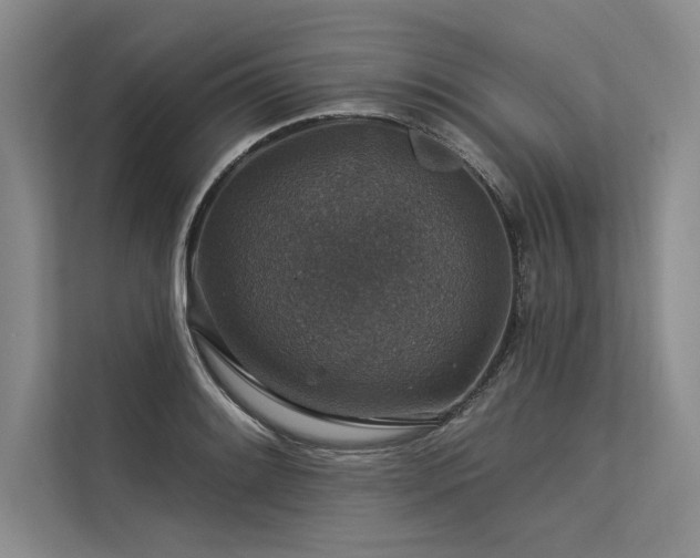 X0000113571084200909181242