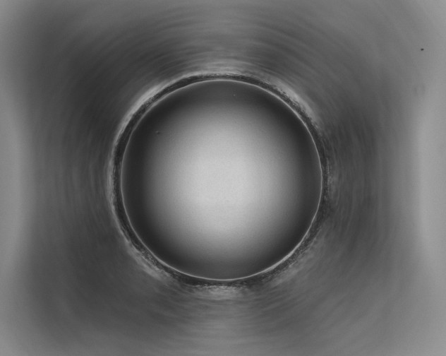X0000113571085200909181242