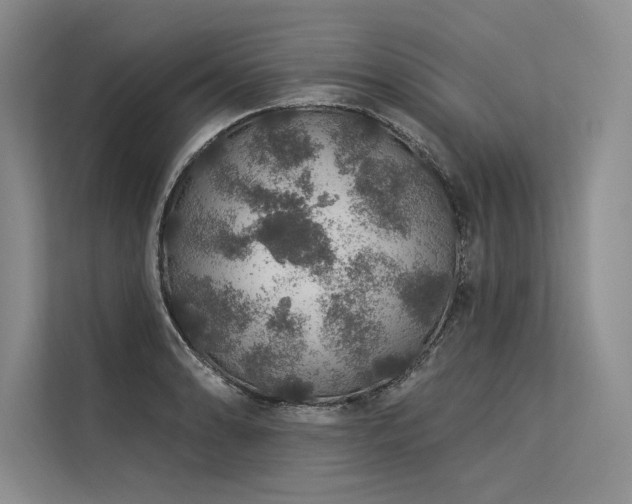 X0000113571086200909181242