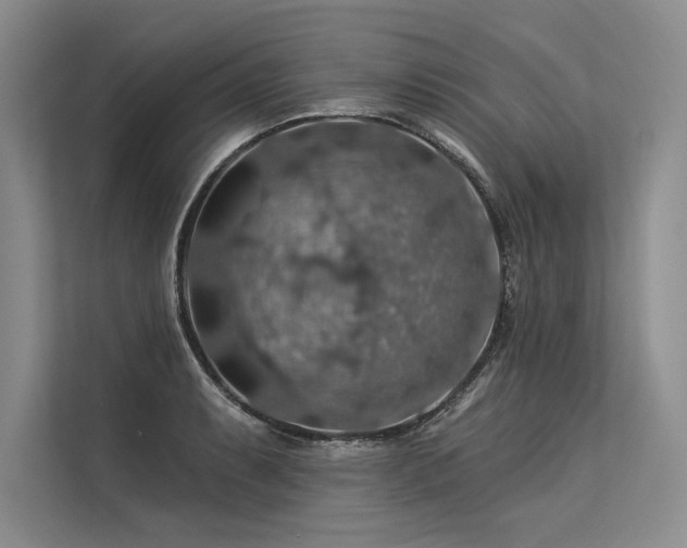 X0000113571087200909181242