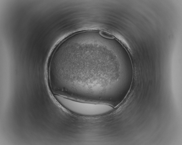 X0000113571088200909181242