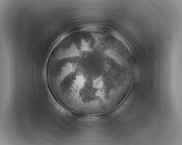 X0000113571090200909181242