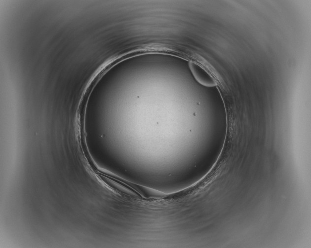 X0000113571092200909181242