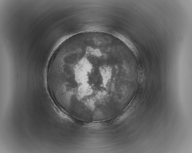 X0000113571094200909181242