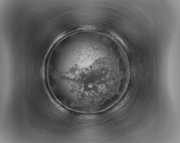 X0000113571095200909181242