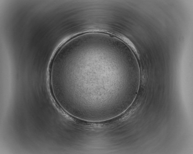 X0000113571096200909181242