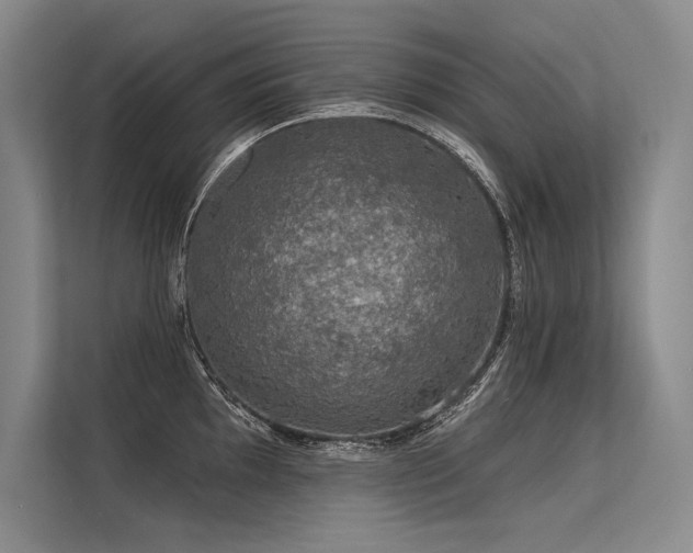 X0000113571097200909181242