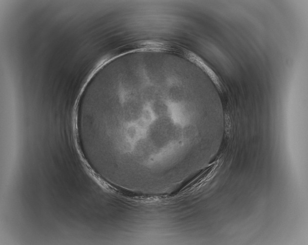 X0000113571099200909181242