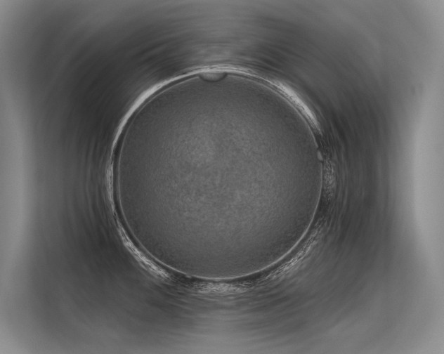 X0000113571100200909181242