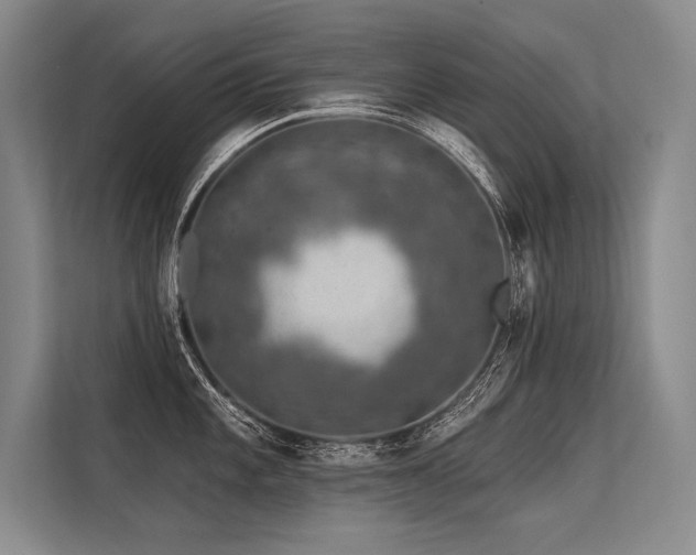 X0000113571101200909181242