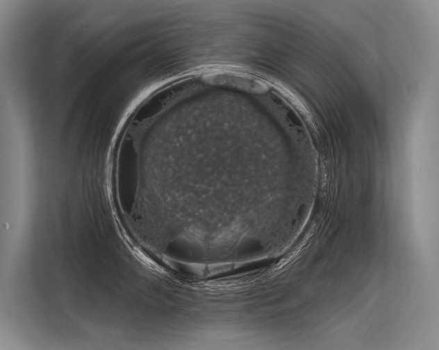 X0000113571102200909181242