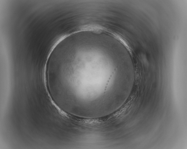 X0000113571103200909181242