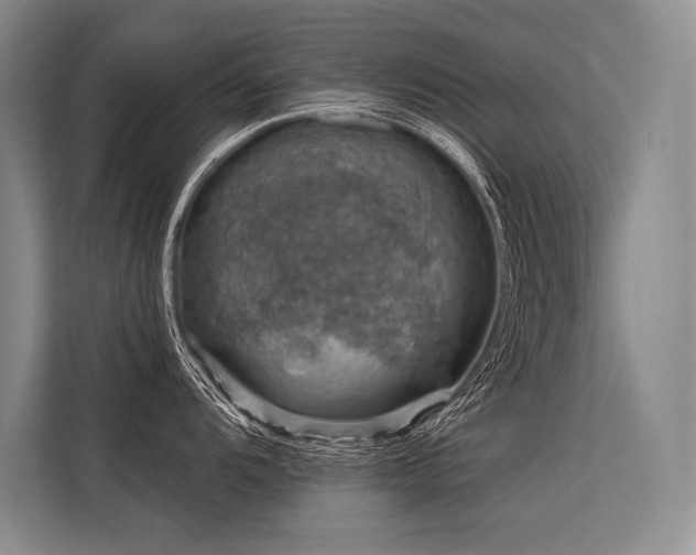 X0000113571104200909181242