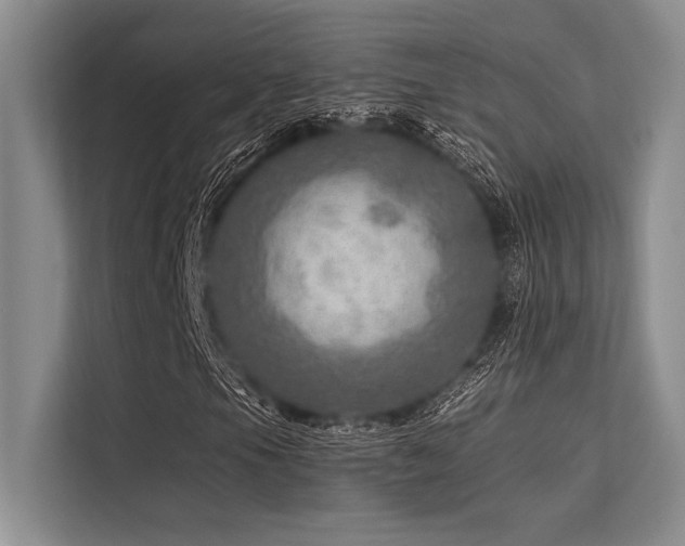 X0000113571105200909181241