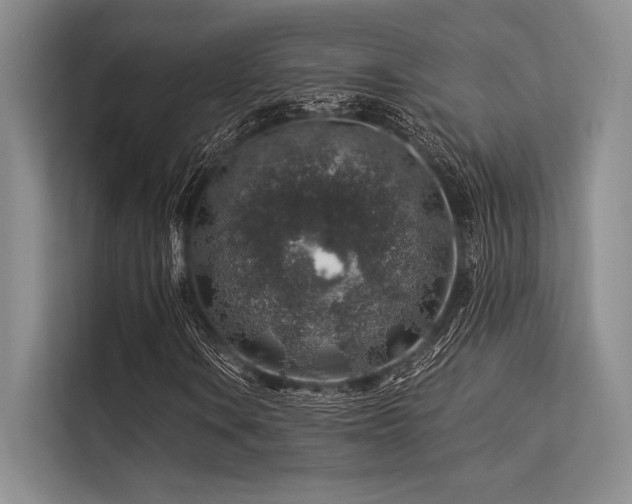 X0000113571106200909181241