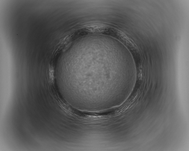 X0000113571108200909181241