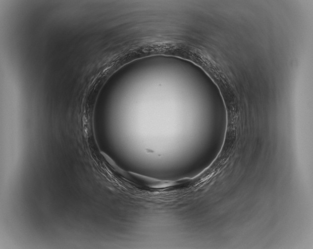 X0000113571109200909181241