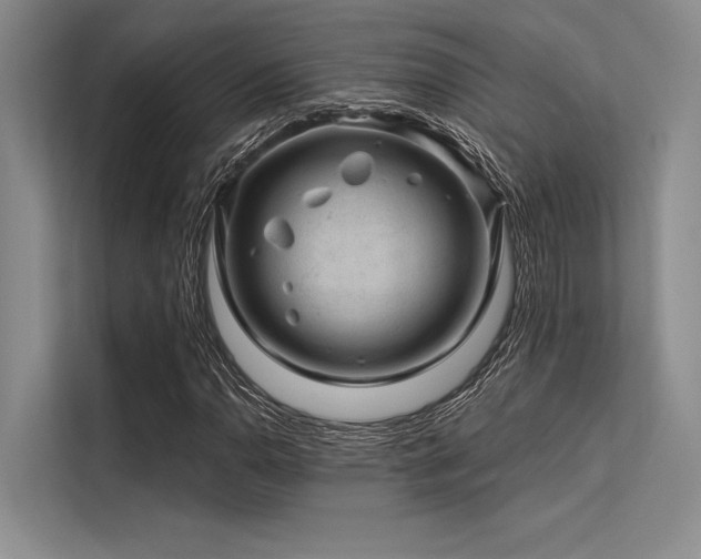 X0000113571110200909181241