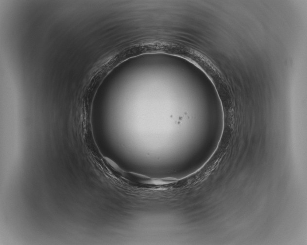 X0000113571111200909181241