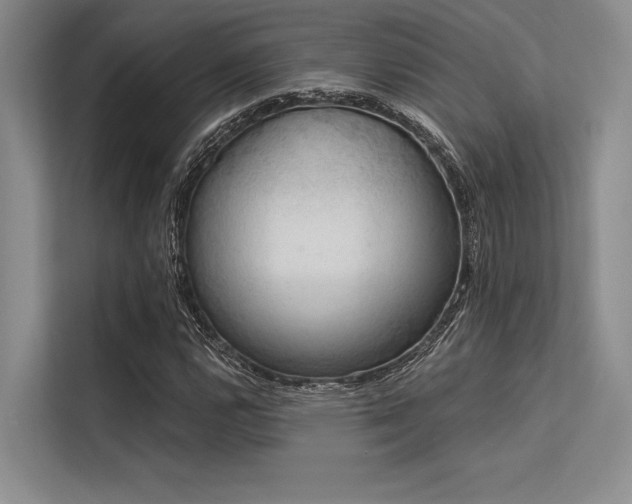 X0000113571112200909181241