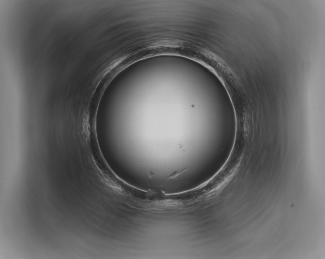 X0000113571113200909181241